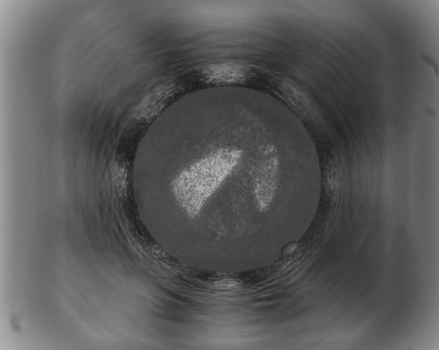 X0000103220551200809041005