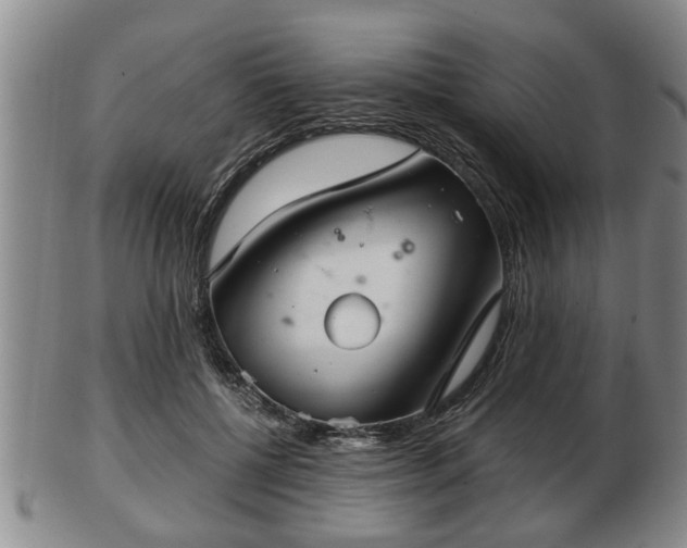 X0000103220552200809041005