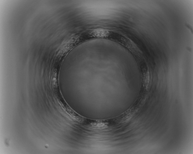 X0000103220553200809041005