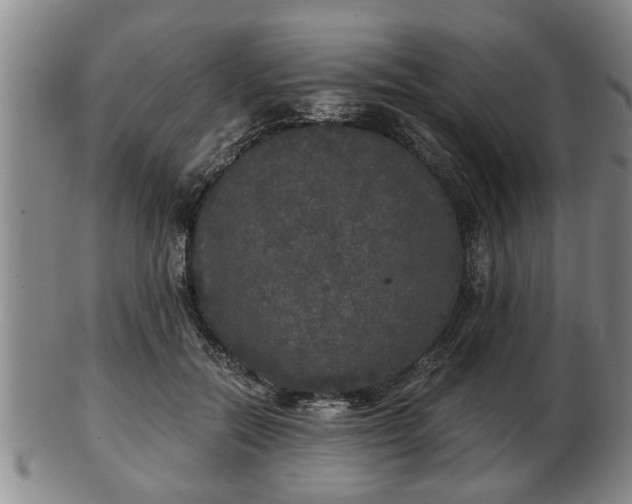 X0000103220554200809041005