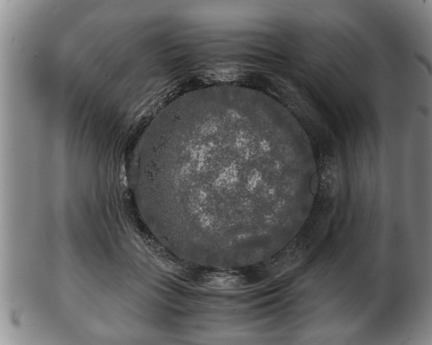 X0000103220555200809041005