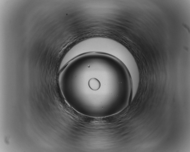 X0000103220556200809041005