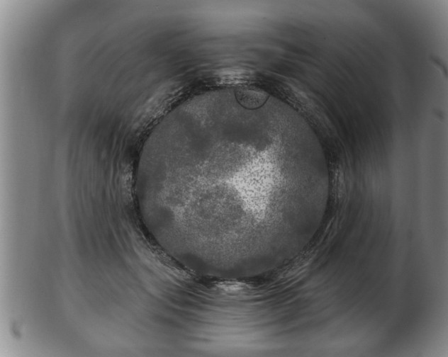 X0000103220557200809041005