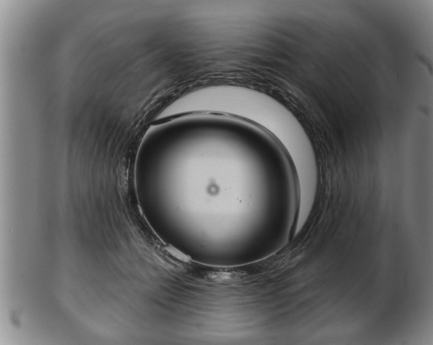 X0000103220558200809041005