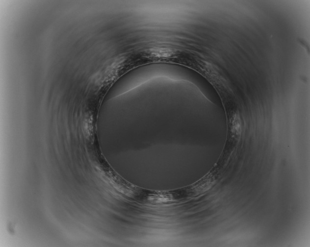 X0000103220559200809041005