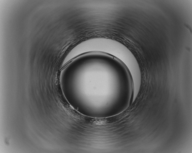 X0000103220560200809041005