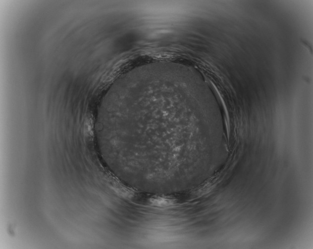 X0000103220561200809041005