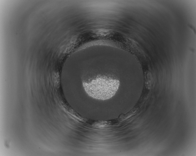 X0000103220563200809041005