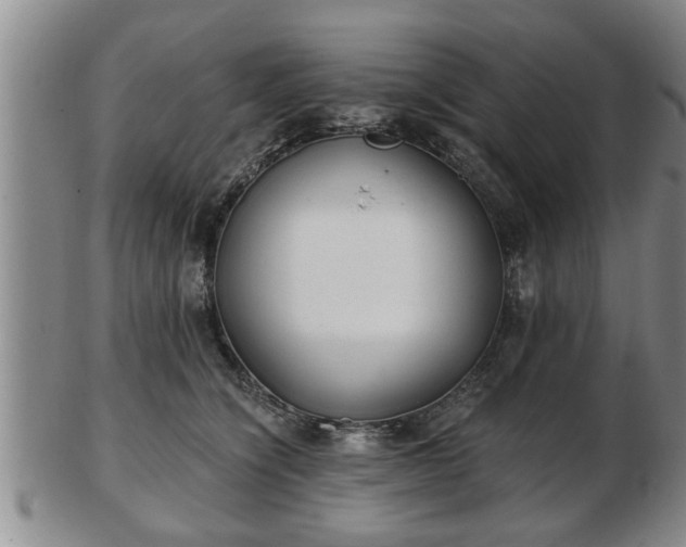 X0000103220564200809041005