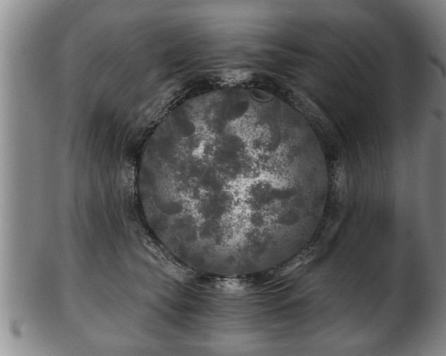 X0000103220565200809041005