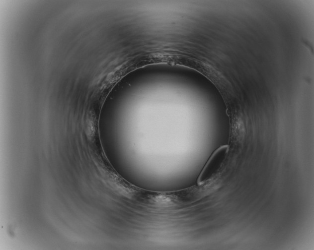 X0000103220566200809041005