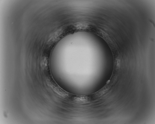 X0000103220567200809041005