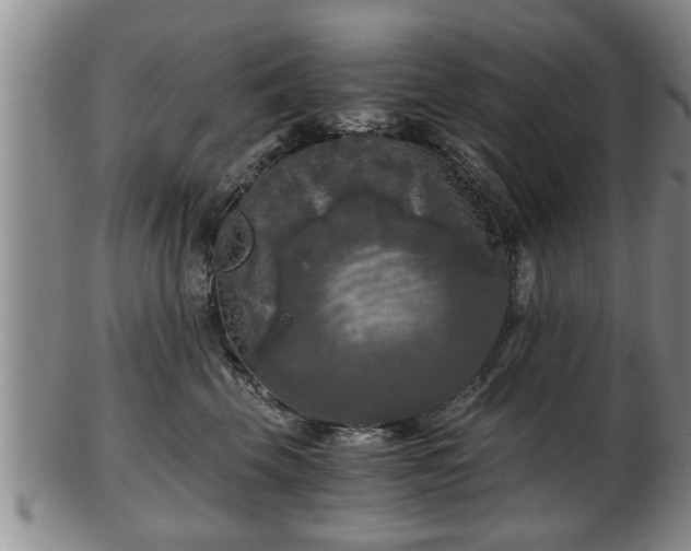 X0000103220569200809041005