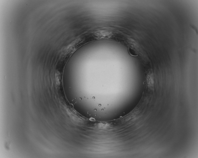 X0000103220570200809041005