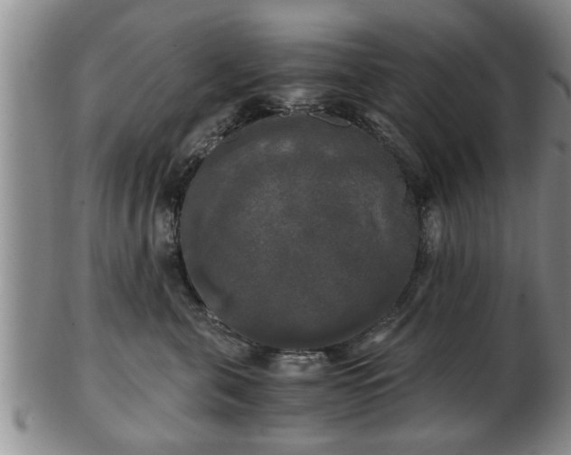 X0000103220571200809041005