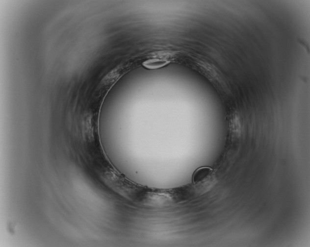 X0000103220572200809041005