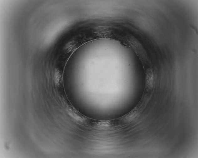 X0000103220574200809041005