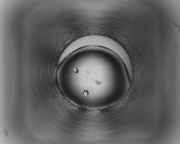 X0000103220576200809041005