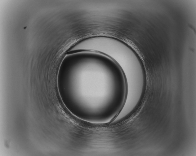 X0000103220577200809041004