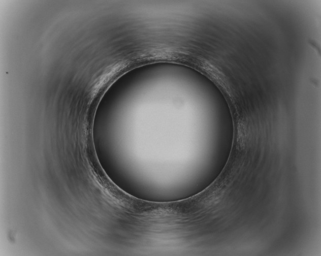 X0000103220578200809041004