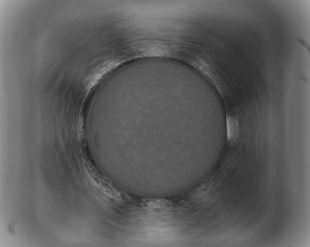 X0000103220579200809041004