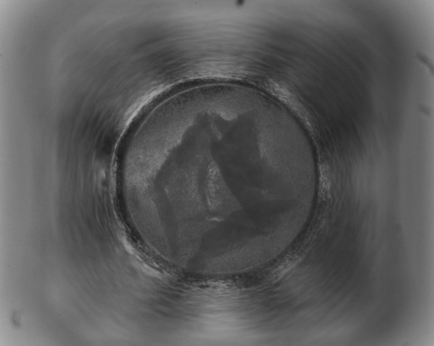 X0000103220580200809041004