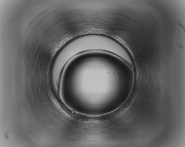 X0000103220581200809041004