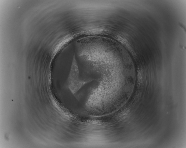 X0000103220582200809041004