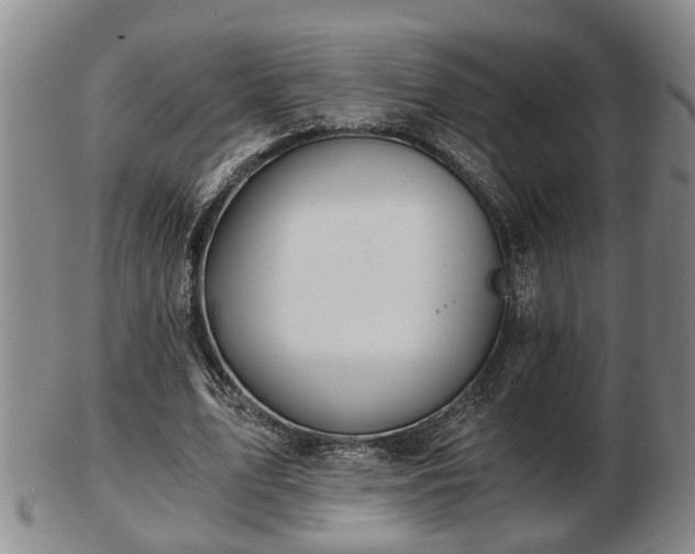 X0000103220583200809041004