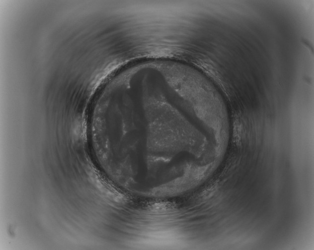 X0000103220584200809041004