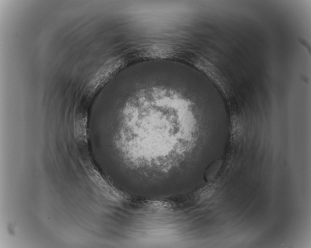 X0000103220585200809041004