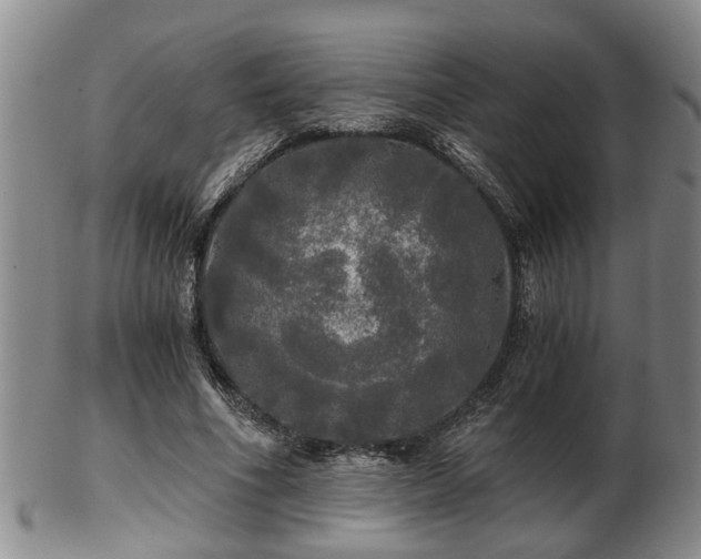 X0000103220586200809041004