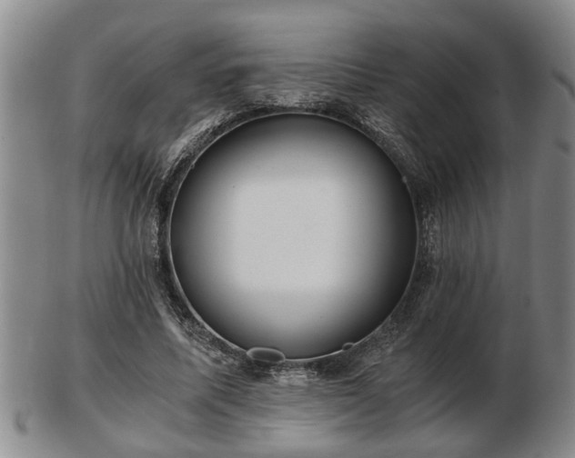 X0000103220587200809041004