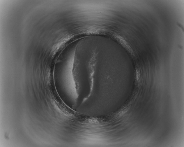 X0000103220588200809041004