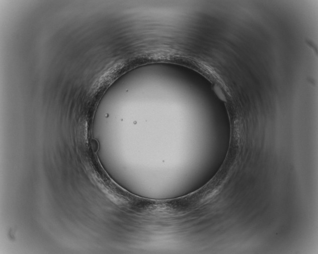 X0000103220589200809041004