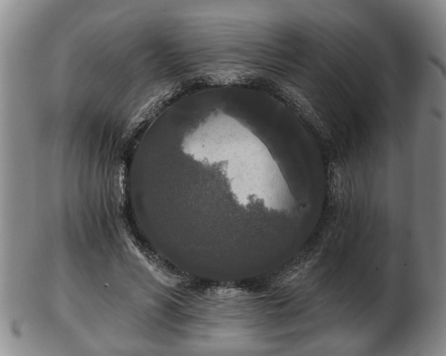 X0000103220590200809041004