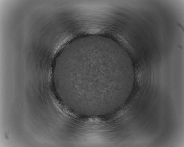 X0000103220591200809041004