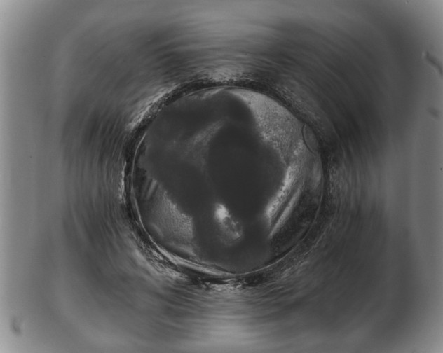 X0000103220592200809041004