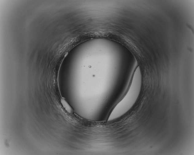 X0000103220593200809041004