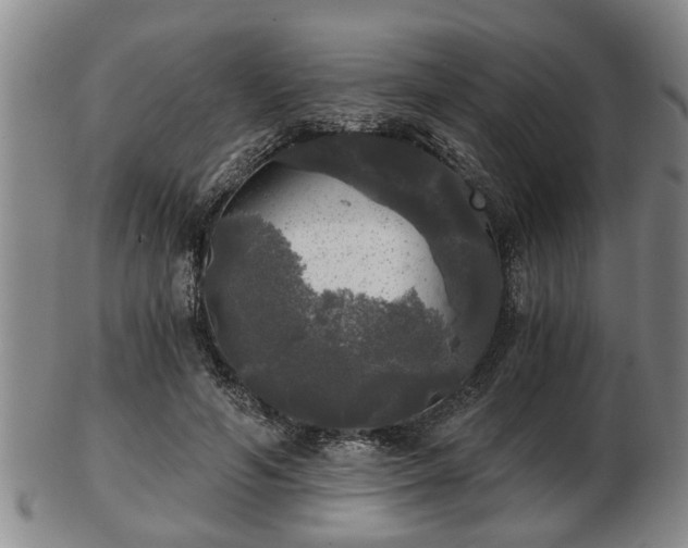 X0000103220594200809041004