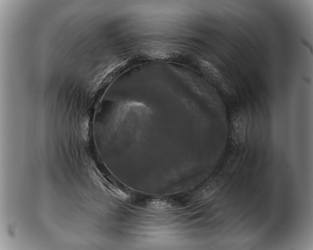 X0000103220596200809041004