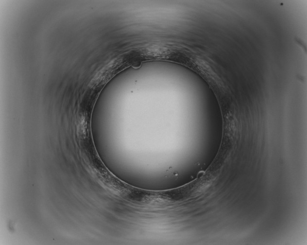 X0000103220597200809041004