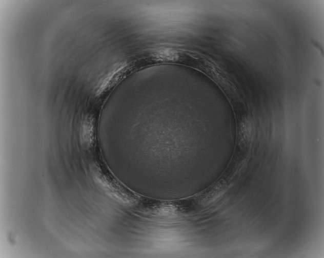 X0000103220600200809041004