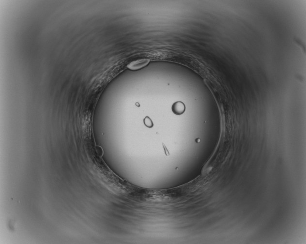 X0000103220601200809041004