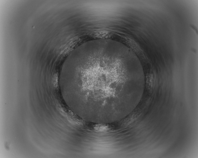 X0000103220602200809041004