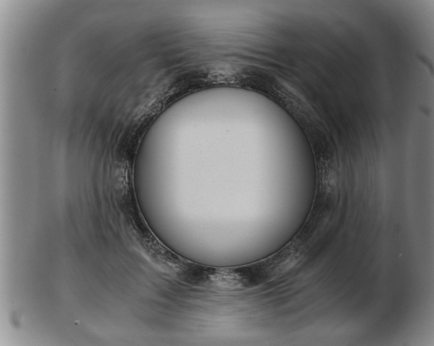 X0000103220603200809041004