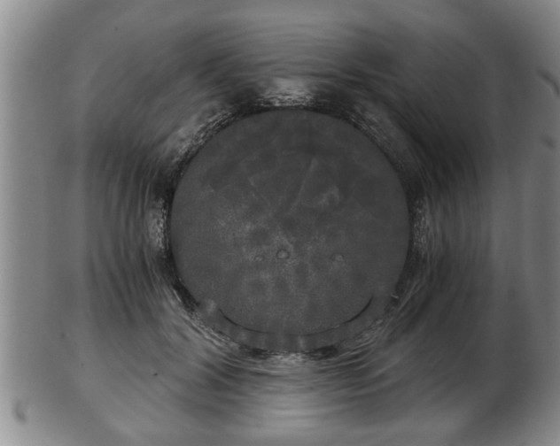 X0000103220604200809041004