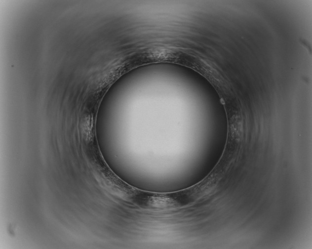 X0000103220605200809041004