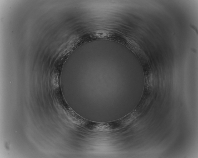 X0000103220606200809041004