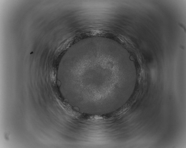 X0000103220607200809041004